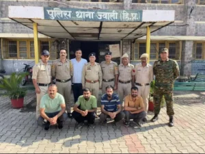 b568be85cc4b5b45ec469e268aaf7e65