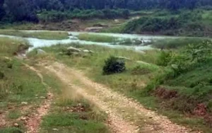 b9ac9c6d8b075496f4a3523bfe849034