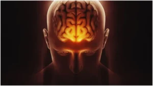 brain-freepik-1757331743