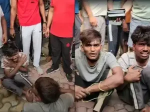 cd013ec286321ffa7c3aab62a3a8addf