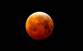 images (1)
