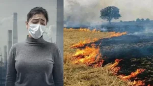 pollution-delhi-ncr-29-09-2025-1759129055