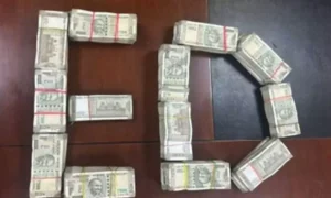 1576469-illegal-768x461