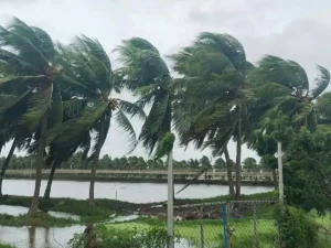 688eb618b0742deeb523c9cd07c2371f