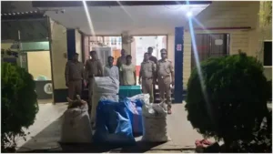 7510062f88509584557b61ca8239563a