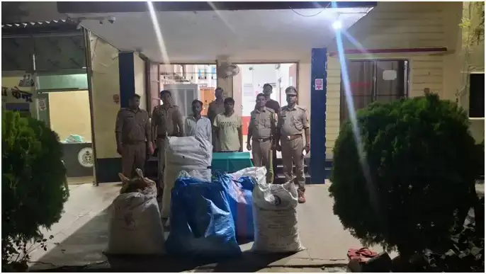 7510062f88509584557b61ca8239563a