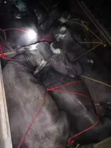 84febe27d322612852d289ebc92fb715