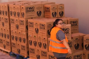 loads-vehicle-during-food-distribution-768x512