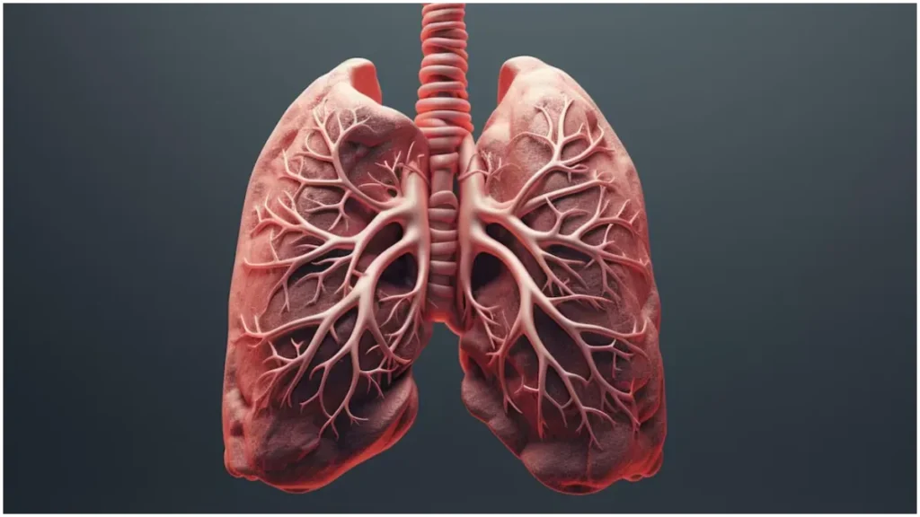 lungs-freepik-1759256877