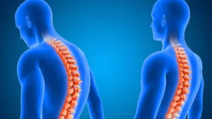 untitled-design-5-1760603958