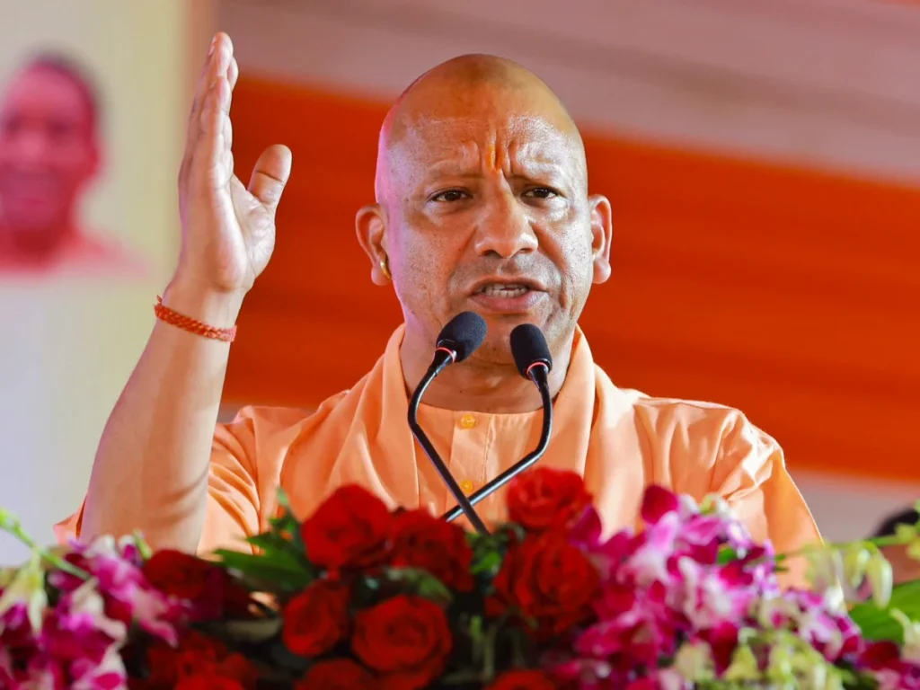 yogi_1741876739827_1742486221226