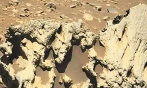 1500x900_5024240-1-copy