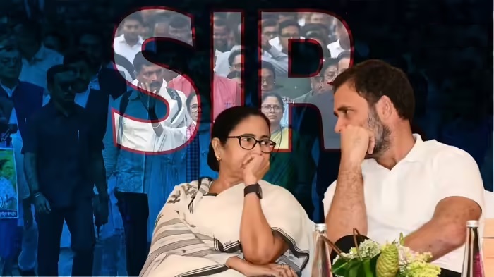 20251126122917_rahul