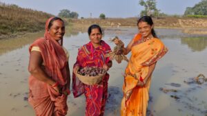 20251129134429_machli singhada