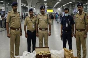 2025_5image_15_56_595648405hgfh-ll