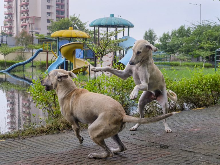 Lb7fMEen-breaking_news-1-768x577