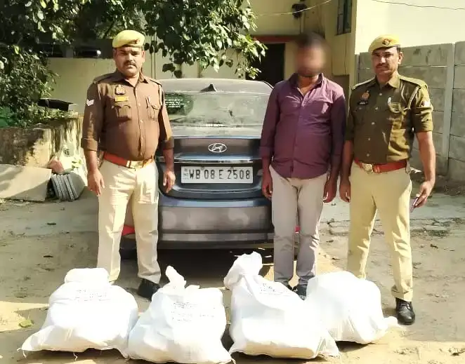 cd780c846fcdba02bf4532d3835cc907