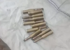 d337d2273a8b3515be1d326c71276c2c