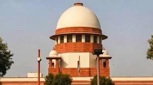 download-2025-11-13T153544.095