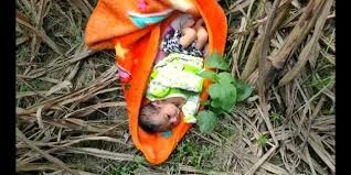 download-2025-11-22T123803.601