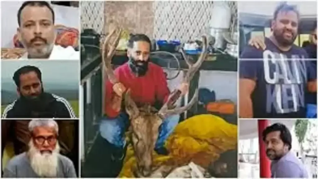 eccd21df71384ef88d94fcf945ec1212