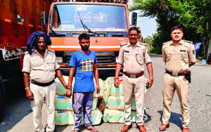 file_2025-09-23T00-58-00