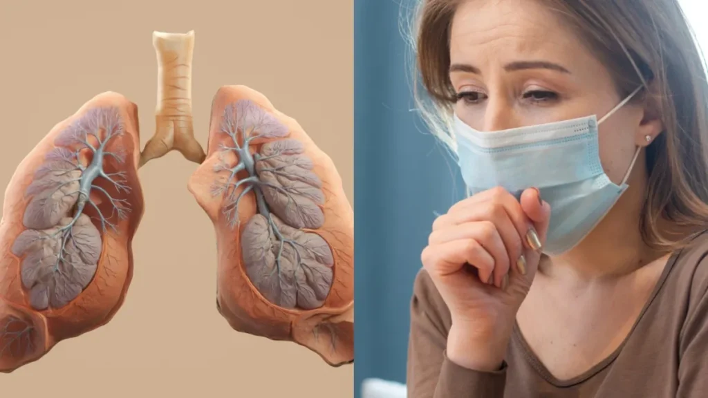 mixcollage-19-nov-2025-10-33-pm-3534-1763571823