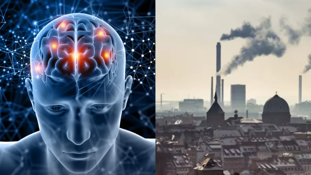 mixcollage-24-nov-2025-07-44-pm-6491-1763993653