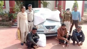 screenshot_2023-01-30-20-35-56-16_6012fa4d4ddec268fc5c7112cbb265e7_2-sixteen_nine