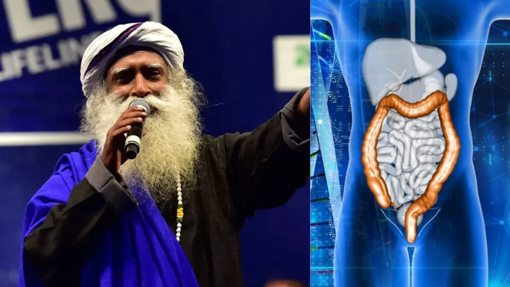 untitled-design-1-1761911123