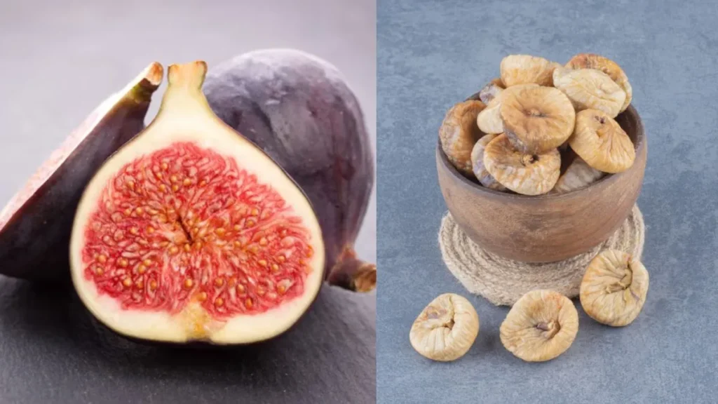 untitled-design-1762766421