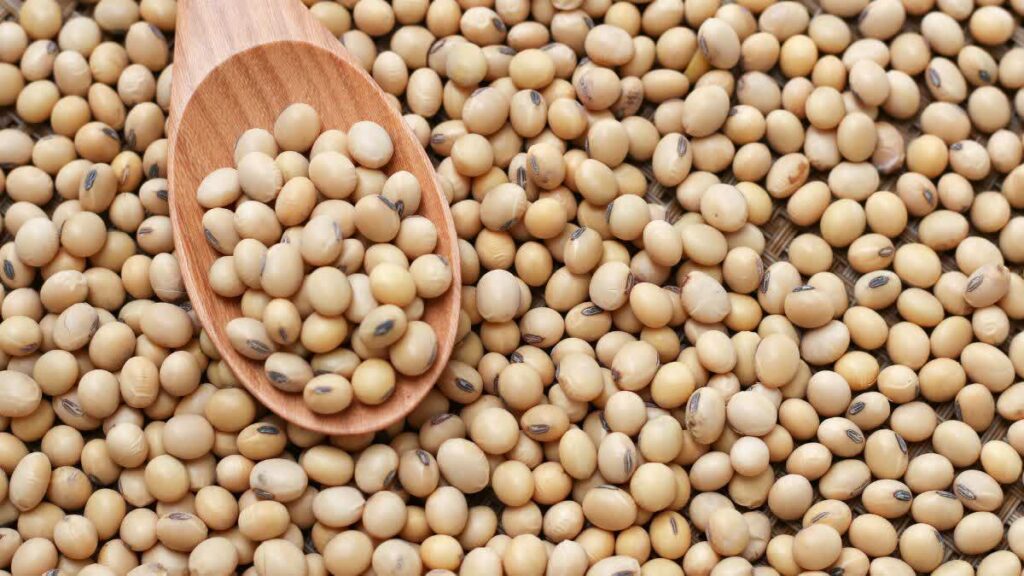 1200-675-25482076-thumbnail-16x9-ssswsdsds