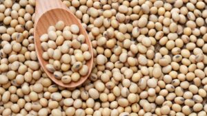 1200-675-25482076-thumbnail-16x9-ssswsdsds