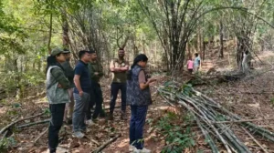 1f7a7940c3a19e86083bbdf121681e5e