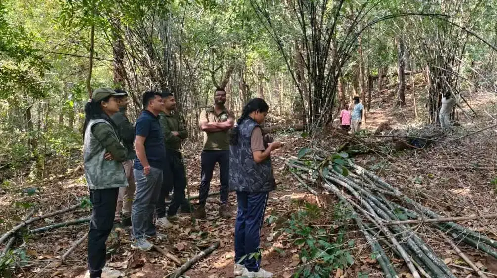 1f7a7940c3a19e86083bbdf121681e5e