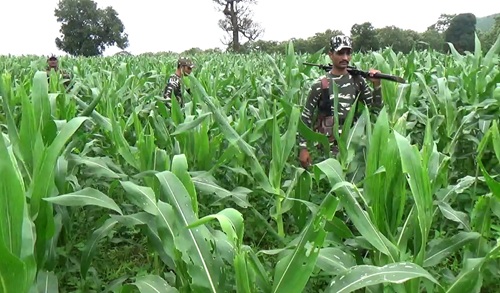 20251219184849_nksli