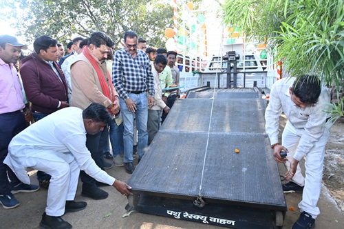 20251231185420_shrmaa