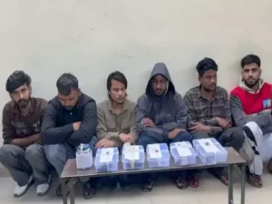 2c156cdfdfdd4b94ba4fa001a436736a