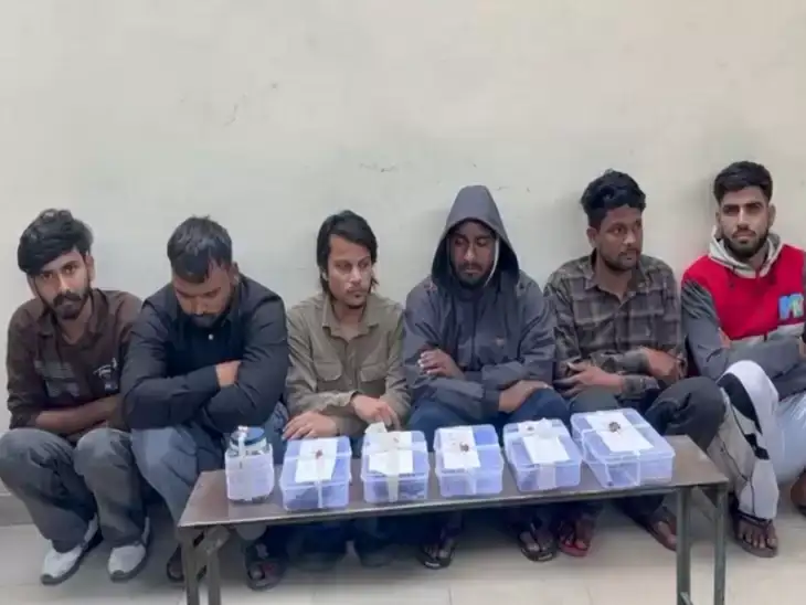 2c156cdfdfdd4b94ba4fa001a436736a