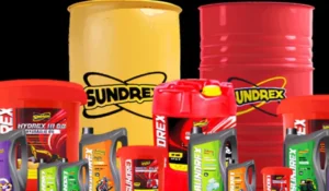 3531942347cd9c523da98f3c463f1ef5_1006849832