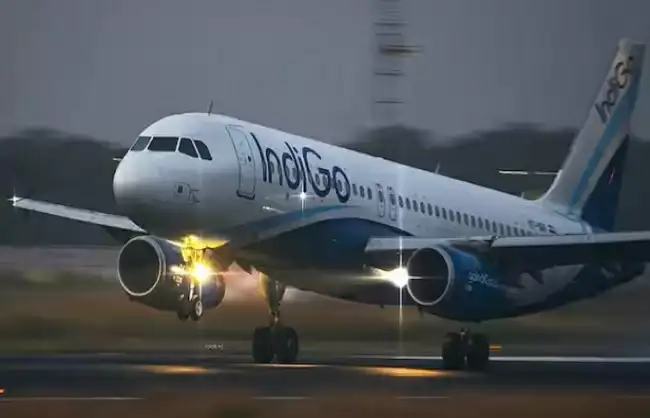 3a52a816d7dba555d11ef54da46974ec