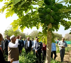 48643a0515ee5986886d1b9850f4d79b