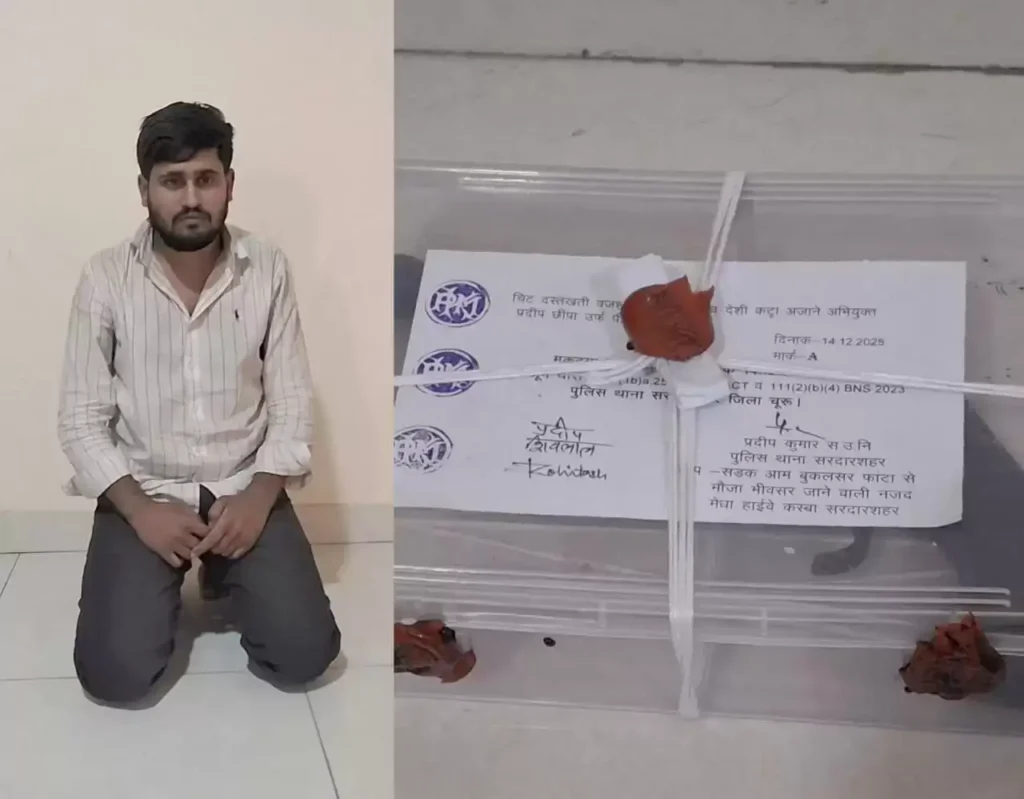 6d7e8ab14d544b19bc295fb7d47060a7