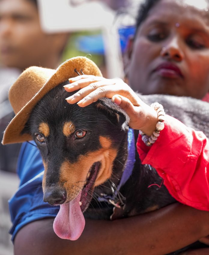 6vX8zeXt-breaking_news-1-696x850