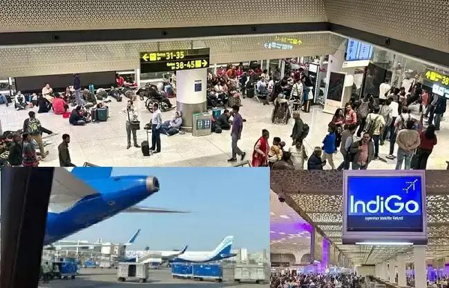 78878bf6ca424a78a4566179a9228bc8