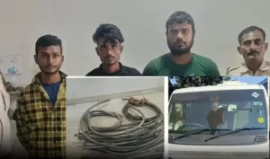 82848907f72494b578dfaed6b1216a6f