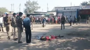 8ecbc96e3be4b03d4bc7acf1a052454a_2041953998