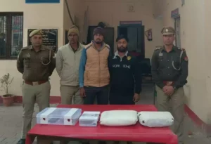 992e6c06cc7db195ef3ffd508db94041