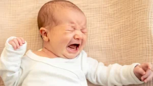 add-a-heading-2-1764401876