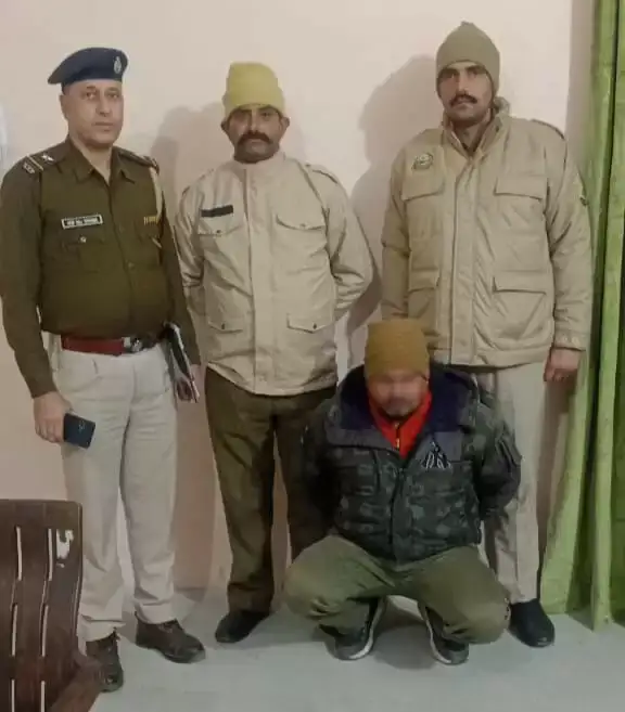 f53774c4b67ee4b7c3815ec0d8a7b5c4